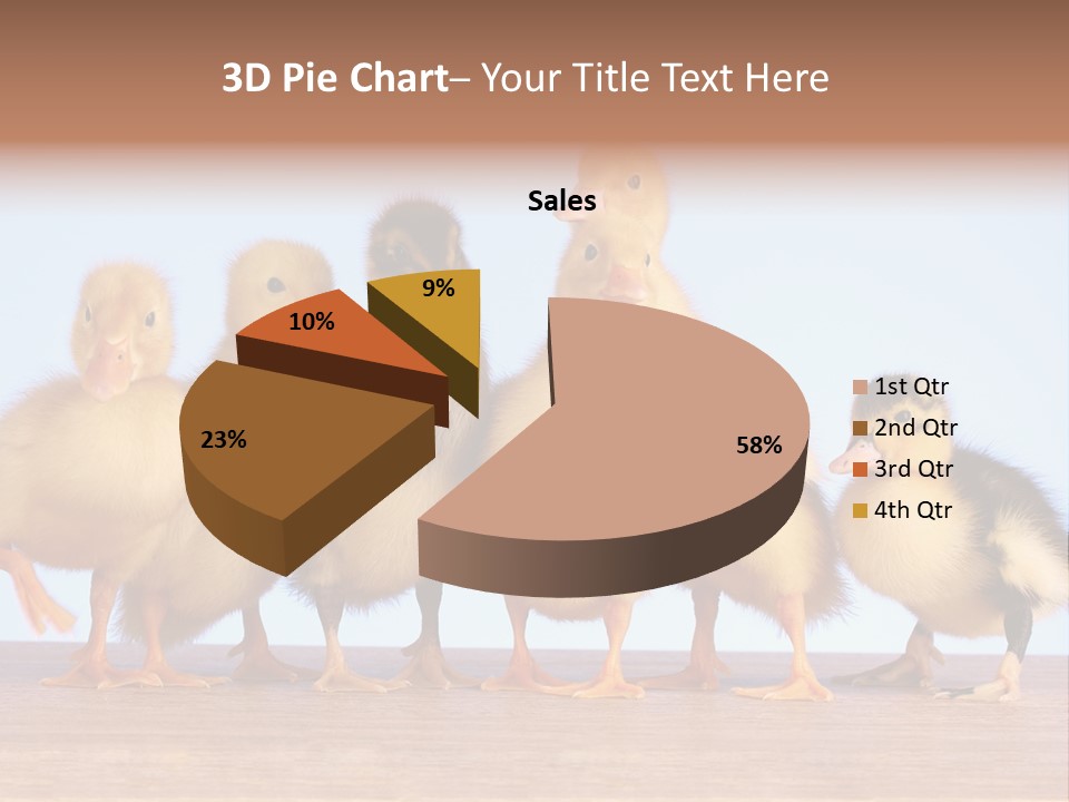 Egg Detail Few PowerPoint Template