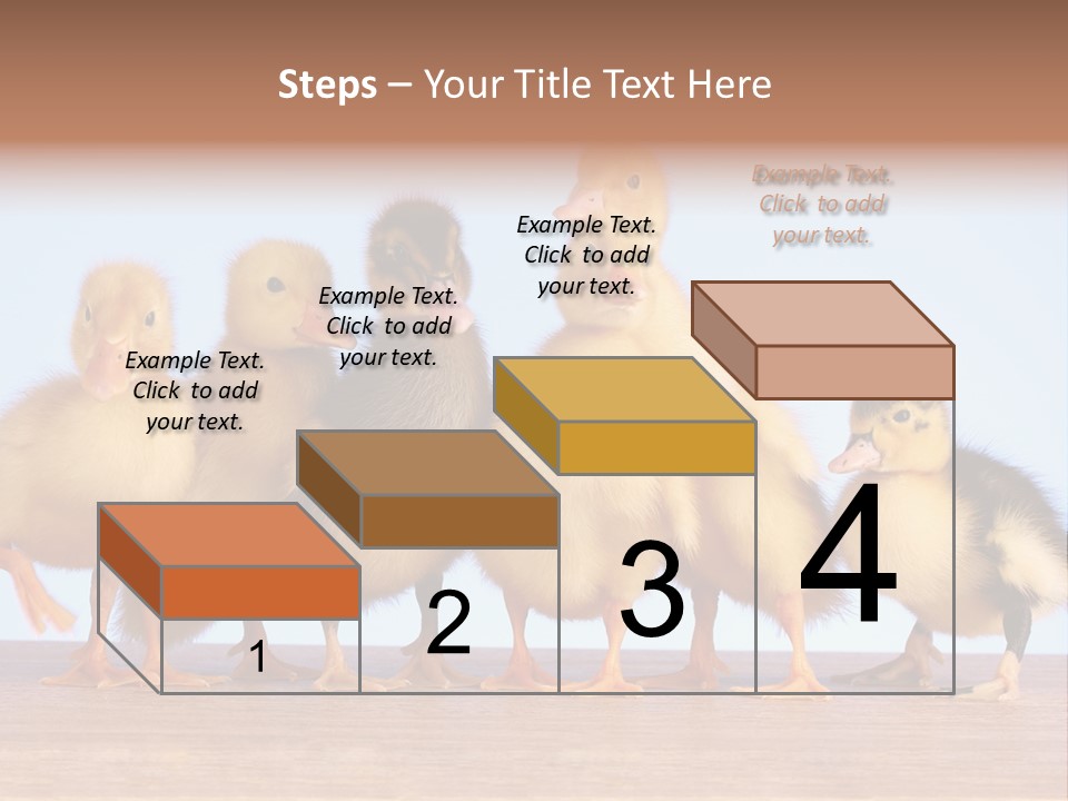 Egg Detail Few PowerPoint Template