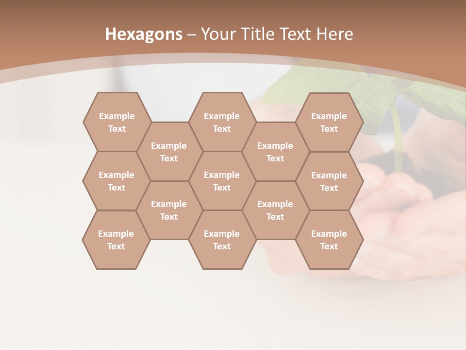 Lifestyle Life Protection PowerPoint Template