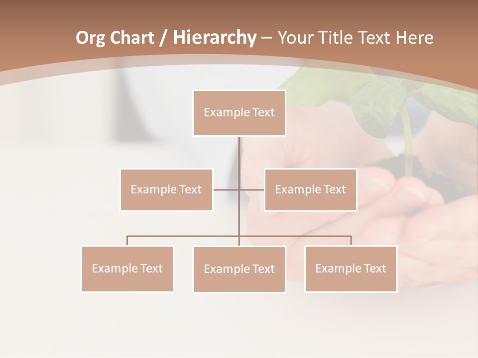 Lifestyle Life Protection PowerPoint Template