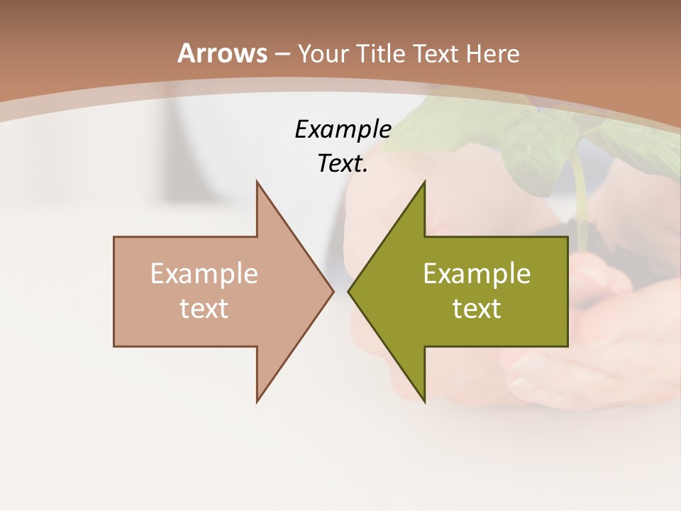 Lifestyle Life Protection PowerPoint Template