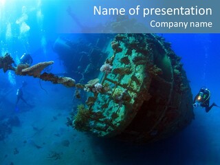 Red Sea Scuba Diving Tropical Climate PowerPoint Template