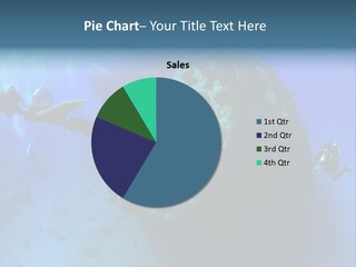 Red Sea Scuba Diving Tropical Climate PowerPoint Template