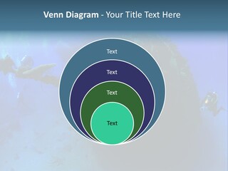 Red Sea Scuba Diving Tropical Climate PowerPoint Template
