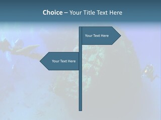 Red Sea Scuba Diving Tropical Climate PowerPoint Template
