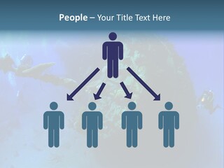 Red Sea Scuba Diving Tropical Climate PowerPoint Template