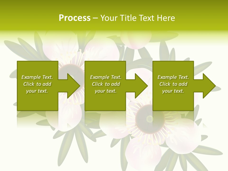 Pink Leptospermum Nature PowerPoint Template