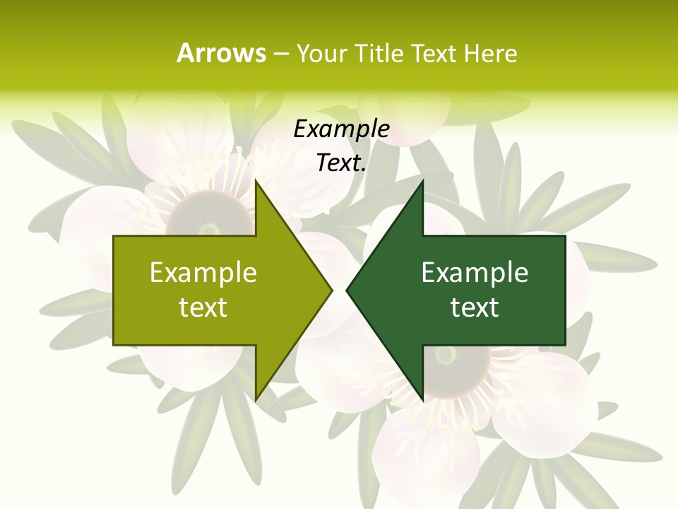 Pink Leptospermum Nature PowerPoint Template