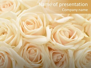 Background Love Flora PowerPoint Template