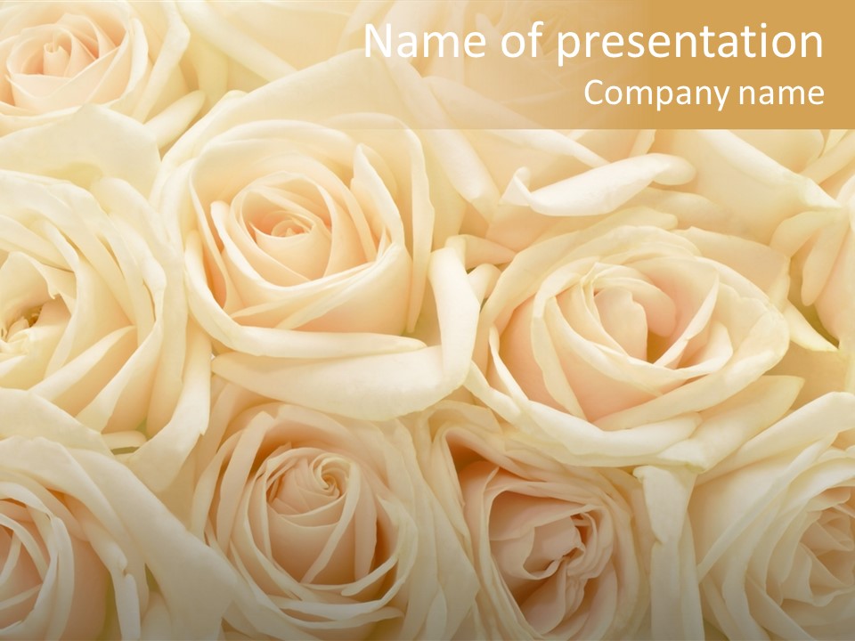 Background Love Flora PowerPoint Template