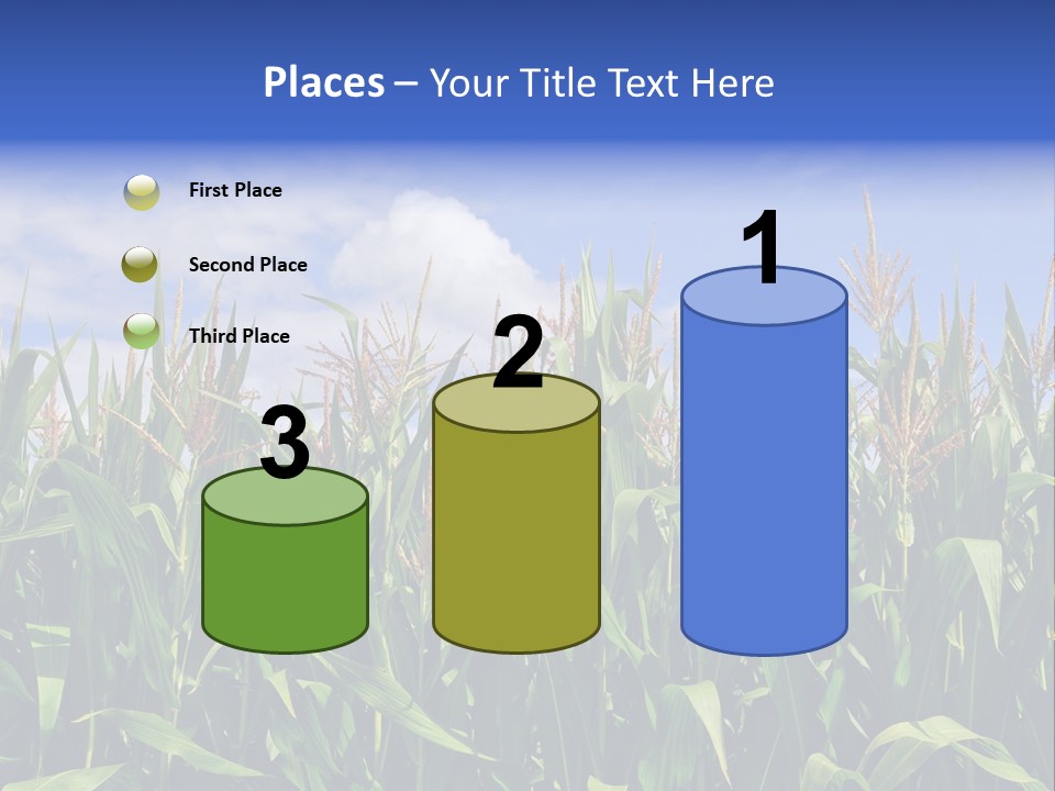 Field Summer Crop PowerPoint Template