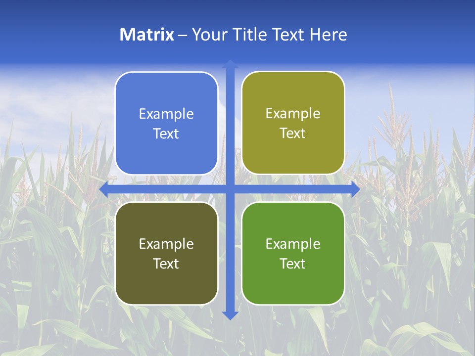 Field Summer Crop PowerPoint Template