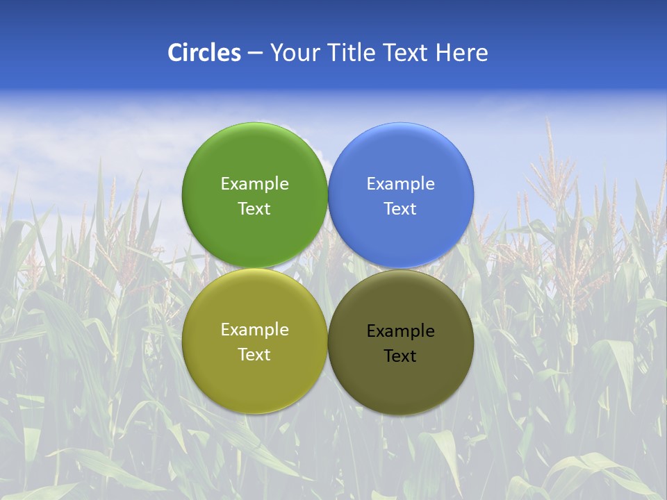 Field Summer Crop PowerPoint Template