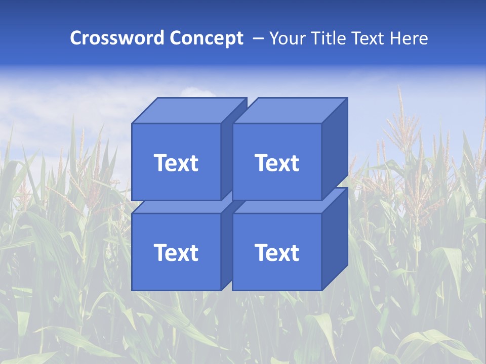 Field Summer Crop PowerPoint Template