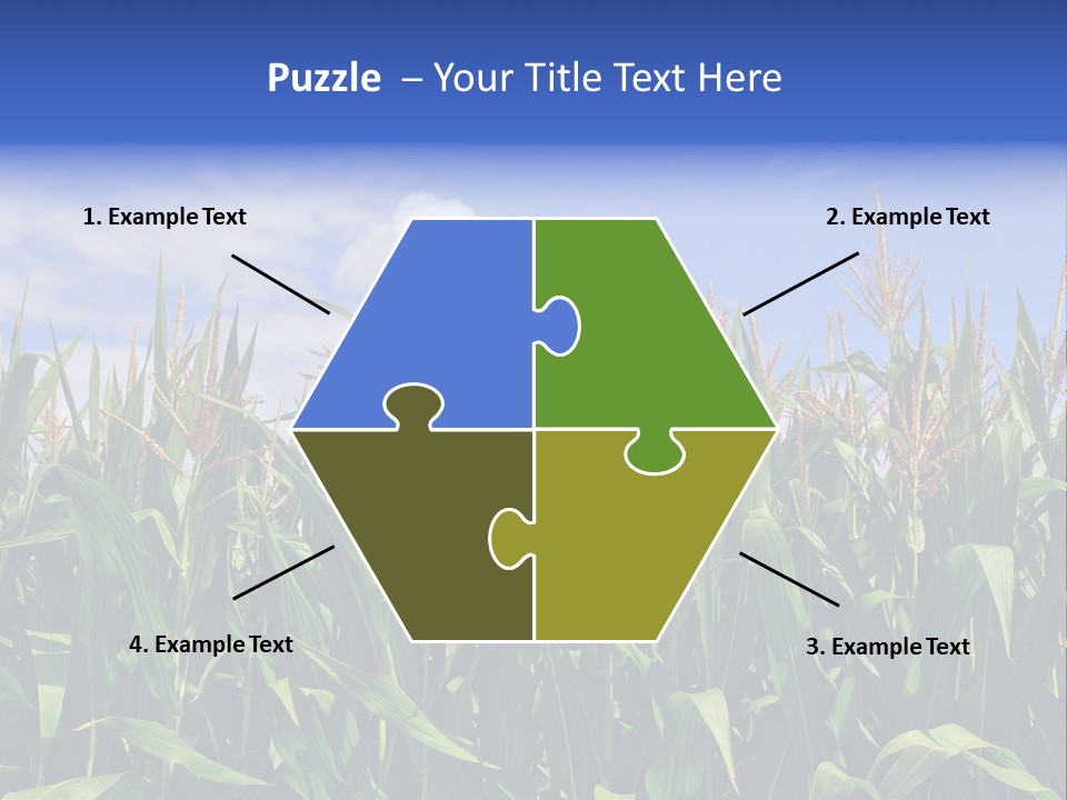 Field Summer Crop PowerPoint Template
