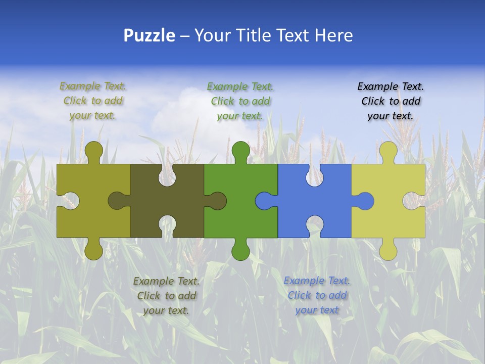Field Summer Crop PowerPoint Template