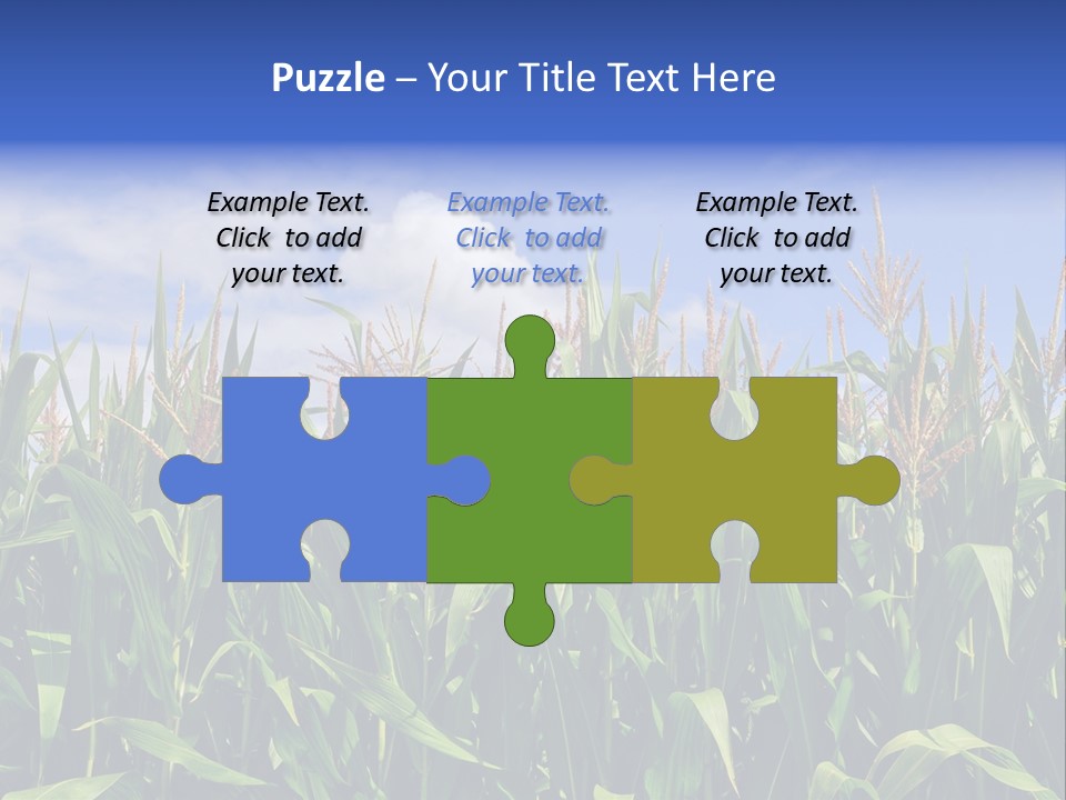 Field Summer Crop PowerPoint Template