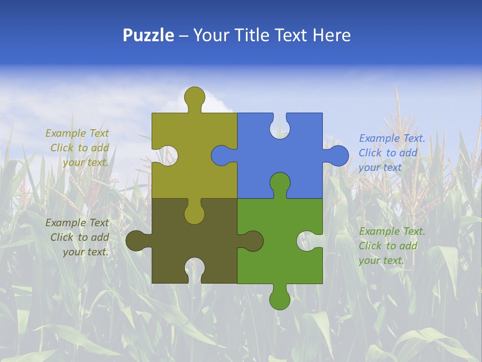 Field Summer Crop PowerPoint Template