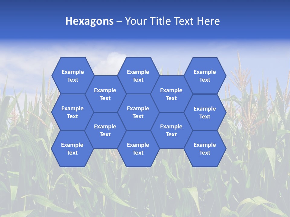 Field Summer Crop PowerPoint Template