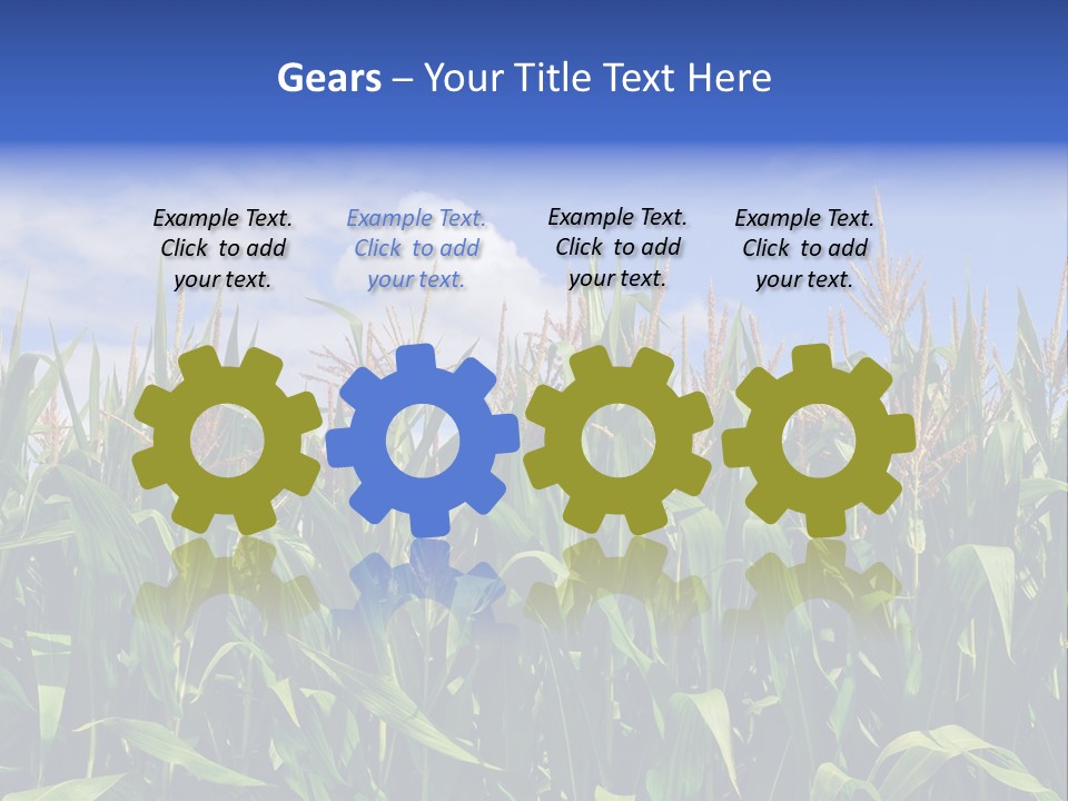 Field Summer Crop PowerPoint Template