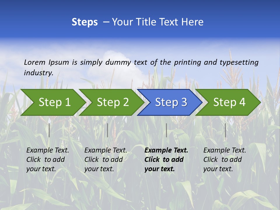 Field Summer Crop PowerPoint Template