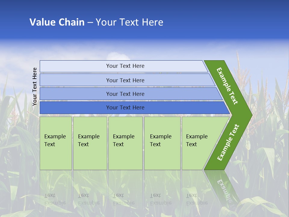 Field Summer Crop PowerPoint Template