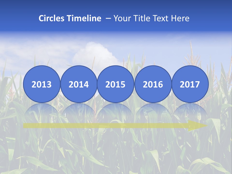 Field Summer Crop PowerPoint Template