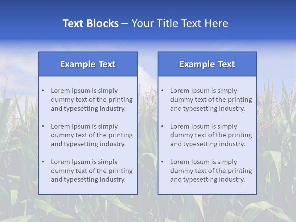 Field Summer Crop PowerPoint Template