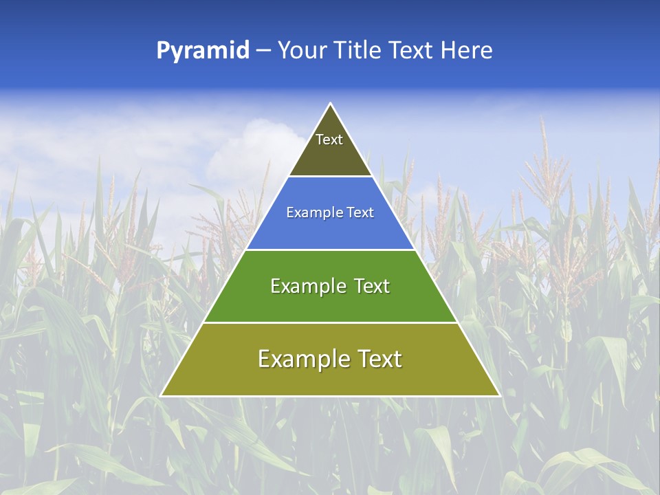 Field Summer Crop PowerPoint Template