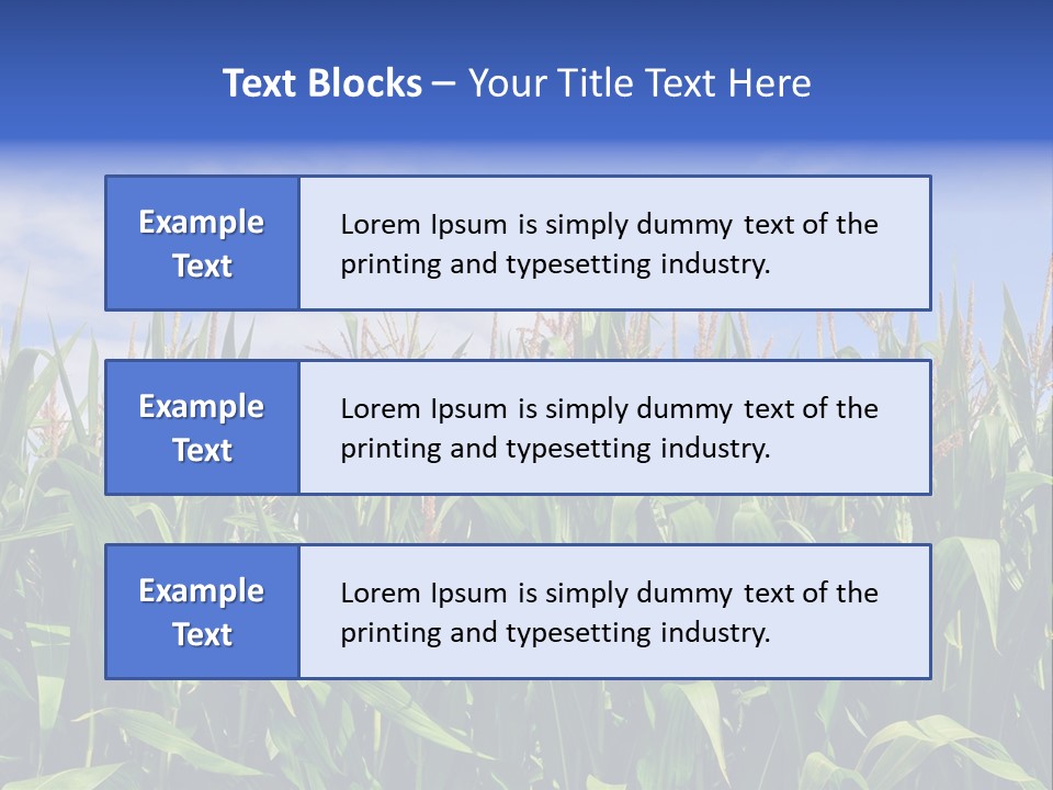 Field Summer Crop PowerPoint Template