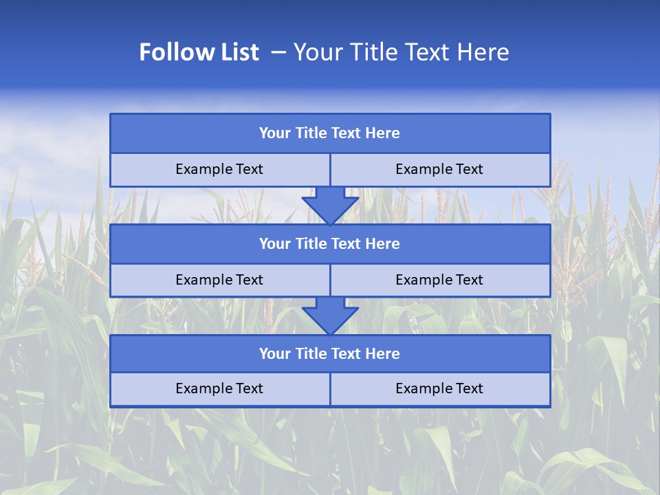 Field Summer Crop PowerPoint Template