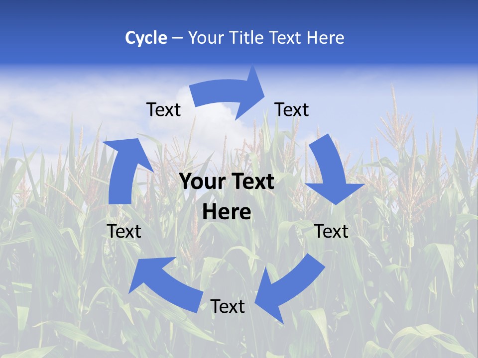 Field Summer Crop PowerPoint Template
