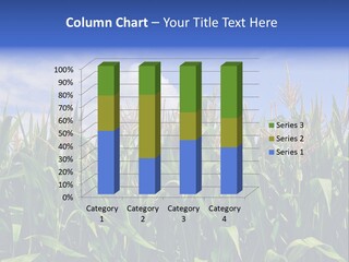 Field Summer Crop PowerPoint Template