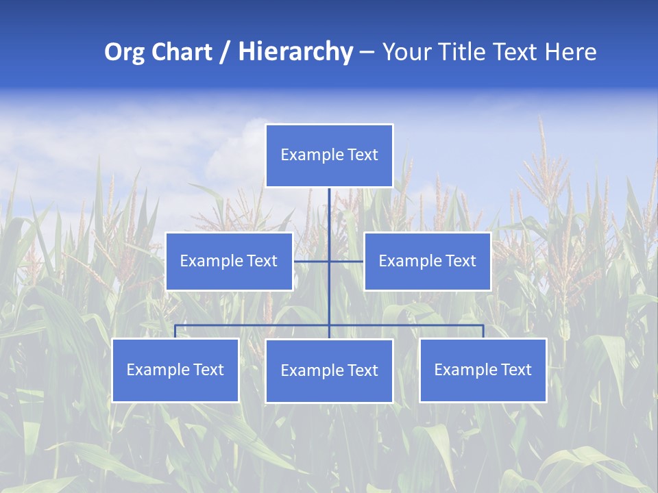 Field Summer Crop PowerPoint Template