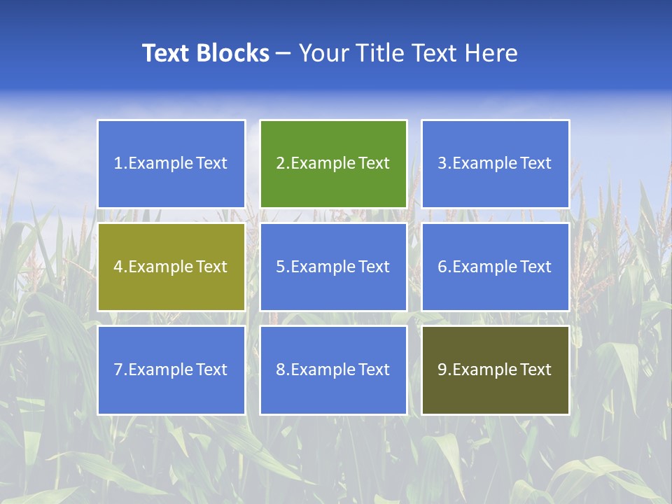 Field Summer Crop PowerPoint Template