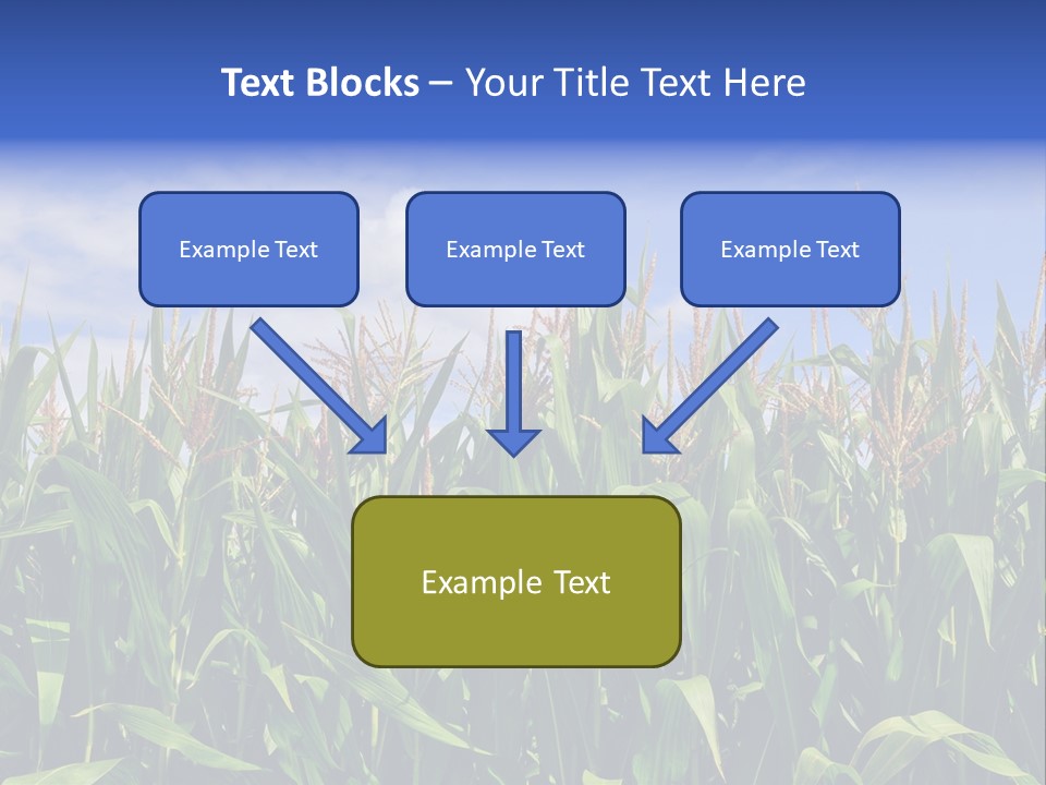 Field Summer Crop PowerPoint Template