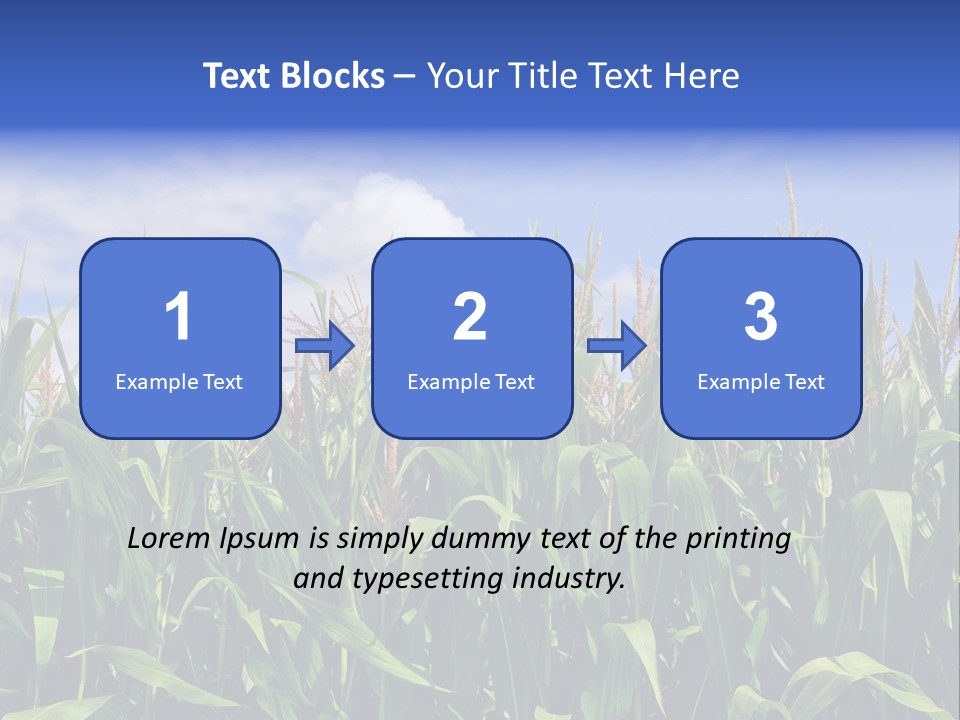 Field Summer Crop PowerPoint Template