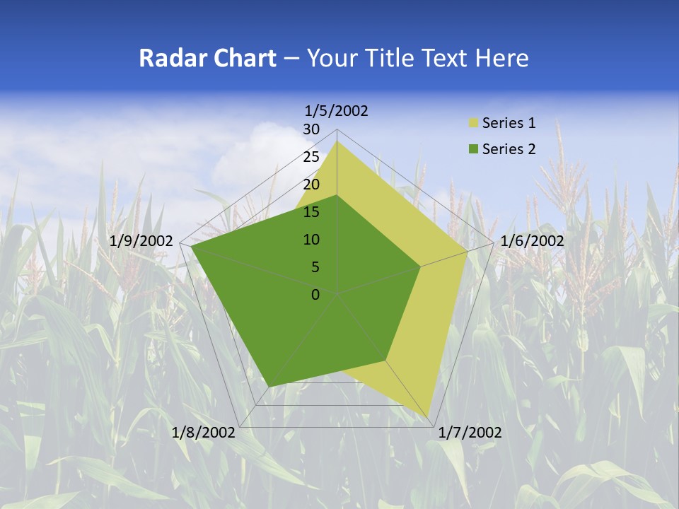 Field Summer Crop PowerPoint Template
