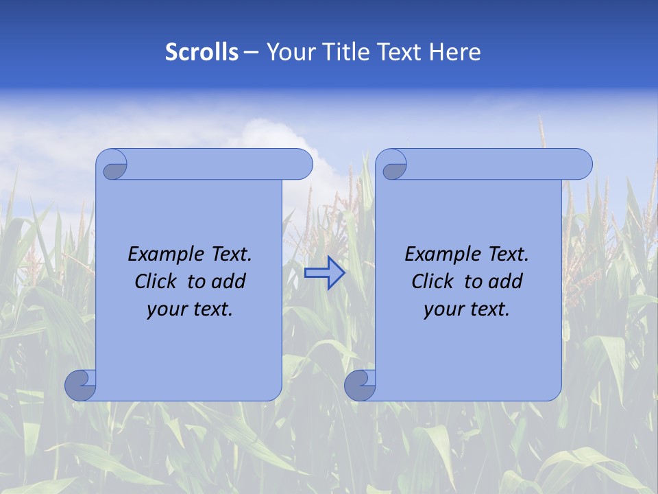 Field Summer Crop PowerPoint Template