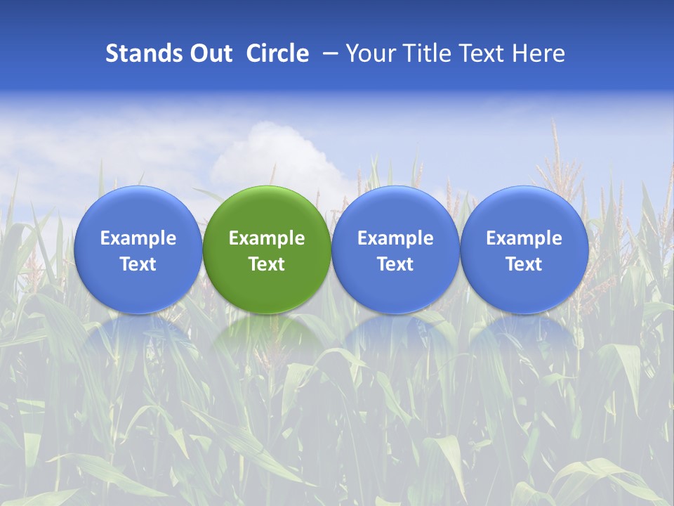 Field Summer Crop PowerPoint Template