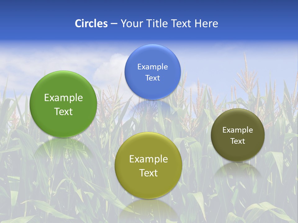 Field Summer Crop PowerPoint Template