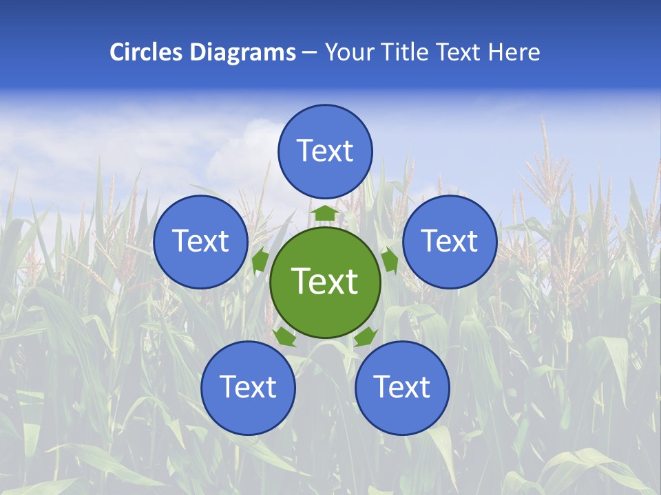 Field Summer Crop PowerPoint Template