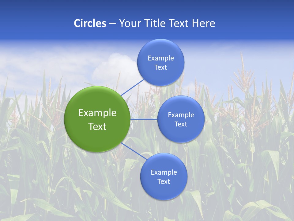 Field Summer Crop PowerPoint Template