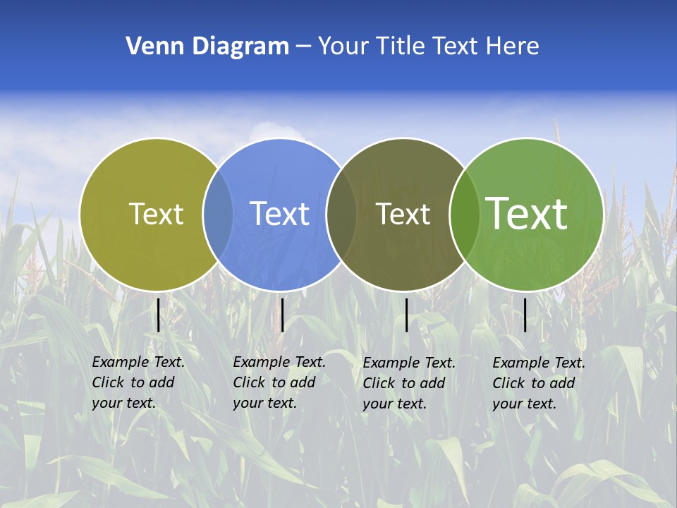 Field Summer Crop PowerPoint Template