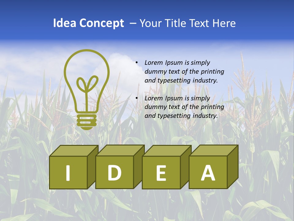 Field Summer Crop PowerPoint Template