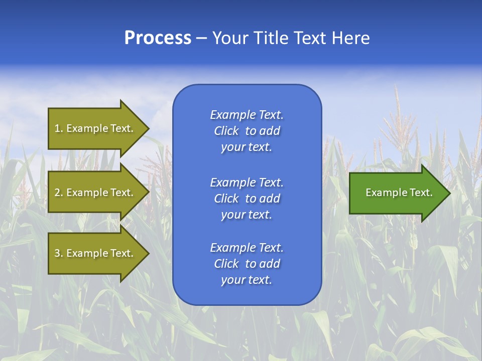 Field Summer Crop PowerPoint Template
