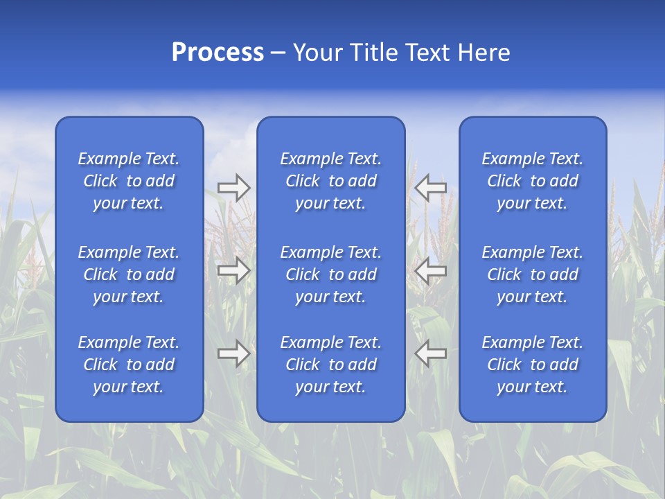 Field Summer Crop PowerPoint Template