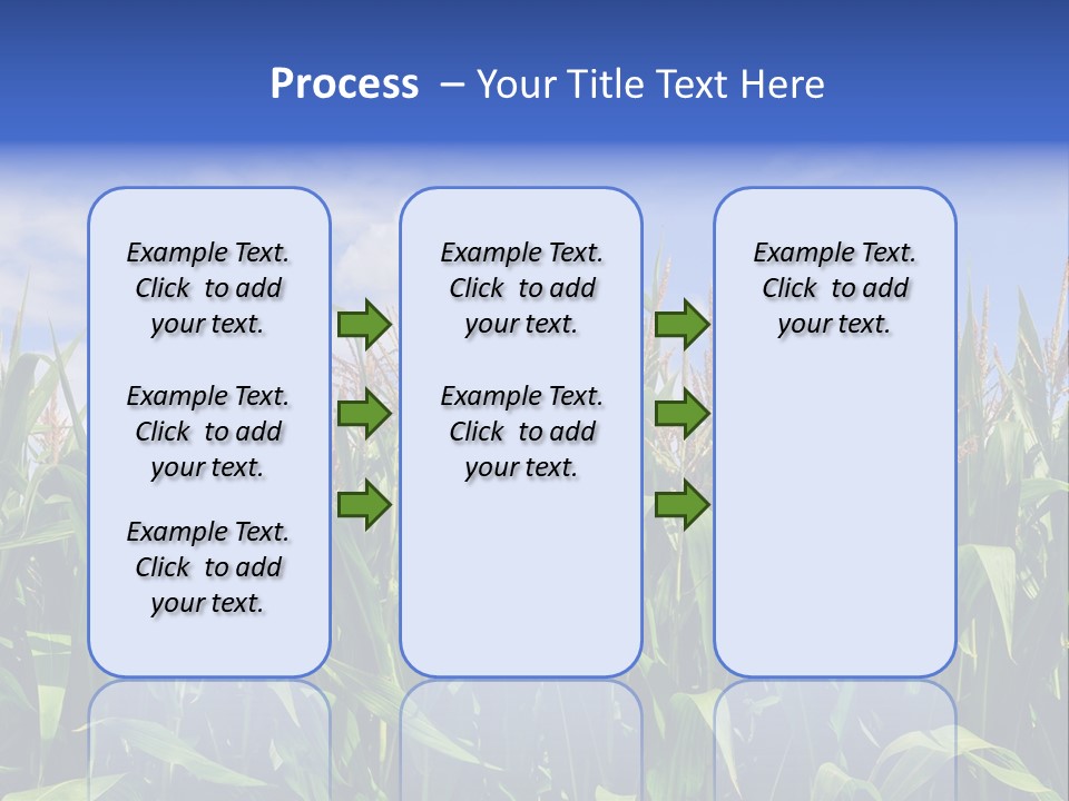 Field Summer Crop PowerPoint Template
