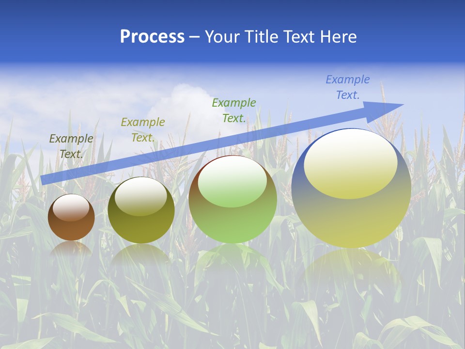 Field Summer Crop PowerPoint Template