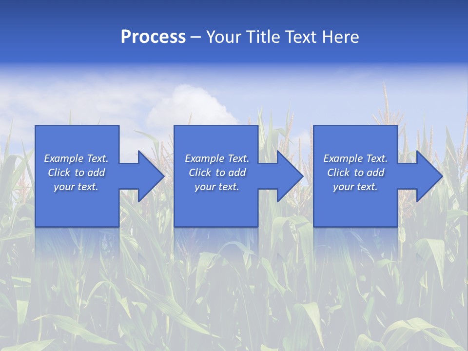 Field Summer Crop PowerPoint Template